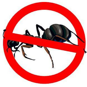  Profile Photos of Ant Control Guys 2401 Brentwood Road - Photo 1 of 1