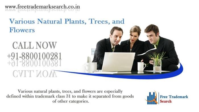 Various natural plants, trees, and flowers are especially defined within trademark class 31 to make it separated from goods of other categories. Trademark Search of Free Trademark Search S-191 C, 3rd floor,Manak Complex,School Block, Shakarpur - Photo 160 of 230 Various natural plants, trees, and flowers are especially defined within trademark class 31 to make it separated from goods of other categories. Trademark Search of Free Trademark Search S-191 C, 3rd floor,Manak Complex,School Block, Shakarpur - Photo 160 of 230
