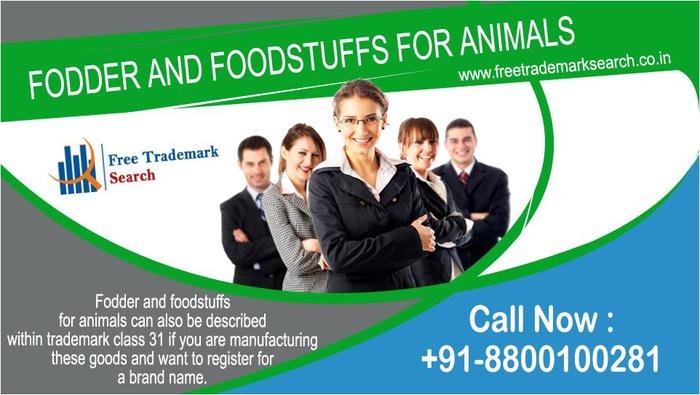 Fodder and foodstuffs for animals can also be described within trademark class 31 if you are manufacturing these goods and want to register for a brand name. Trademark Search of Free Trademark Search S-191 C, 3rd floor,Manak Complex,School Block, Shakarpur - Photo 175 of 230