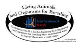 Trademark class 31 is just for describing the living animals and organisms for breeding when an individual want to register these with a mark name. Free Trademark Search S-191 C, 3rd floor,Manak Complex,School Block, Shakarpur 