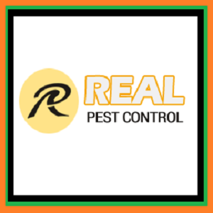  Profile Photos of Pest Control Adelaide 59 Alfred Street - Photo 1 of 1