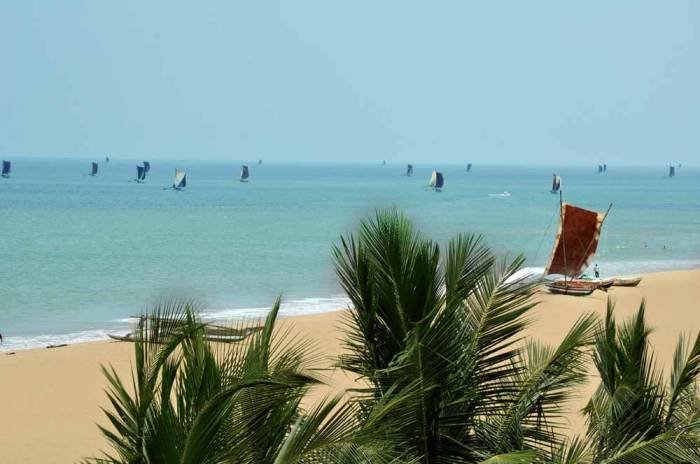  Profile Photos of The Reef Beach Hotel Poruthota Road, - Photo 9 of 16