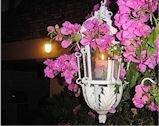 Even the Darkness Whispers $ 20.00 Postage Included Whisper Poetry Book Store of Whisper from the Heart Poetry Club (Poetry Galore) Camborne Street - Photo 7 of 15