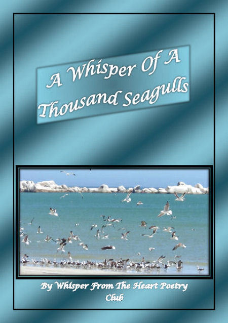  Whisper Poetry Book Store of Whisper from the Heart Poetry Club (Poetry Galore) Camborne Street - Photo 11 of 15