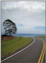 A Winding Whisper <br />
$ 20.00 Includes Postage Whisper from the Heart Poetry Club (Poetry Galore) Camborne Street 