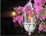 Even the Darkness Whispers $ 20.00 Postage Included Whisper from the Heart Poetry Club (Poetry Galore) Camborne Street 