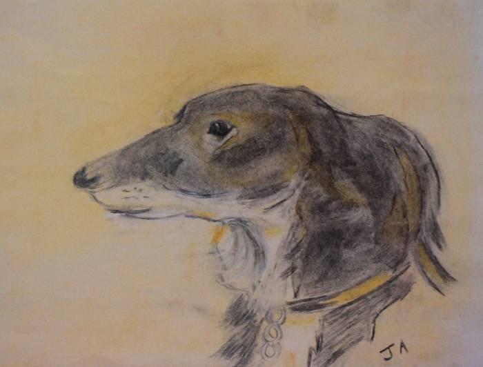 I have SAILED the SEAS Artist June Almendro Portraits of Whisper from the Heart Poetry Club (Poetry Galore) Camborne Street - Photo 3 of 14