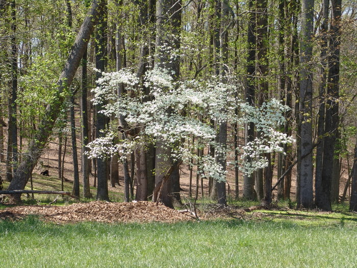                                 Profile Photos of Milton Fields 1150 Birmingham Rd - Photo 2 of 3