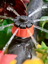 Water Wisely, Garland