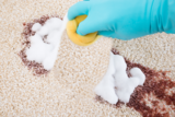 Unique Steaming Carpet Cleaning, Newport News