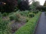 LANDSCAPING PROJECT,CROYDON       LAZARUS CONSTRUCTION AND REFURBISHMENT (Ltd) 32,DINGWALL ROAD 