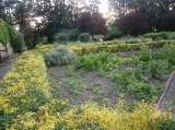 LANDSCAPING PROJECT       LAZARUS CONSTRUCTION AND REFURBISHMENT (Ltd) 32,DINGWALL ROAD 