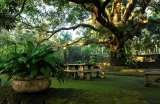 The Farm at San Benito, Lipa City, Batangas  Philippines