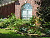  Trees Hurt Too, Inc 1200 Colorado Lane 