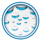 Mold Testing & Inspection Charlotte - Mold Removal & Remediation, Charlotte