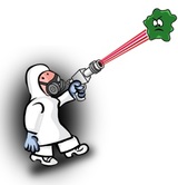 Mold Testing & Inspection Charlotte - Mold Removal & Remediation, Charlotte