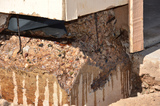 Foundation Repair Pros, San Antonio