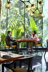 Conrad Bengaluru, Bengaluru