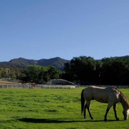  Profile Photos of Red Barn Guest Ranch 345 County Road 262 - Photo 6 of 12
