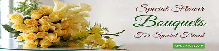  Profile Photos of Online Flower Delivery | Online Cake Delivery - Hi5Gift Connaut Place 20 - Photo 1 of 2