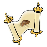 Bed Bugs Exterminator Crew, Phoenix