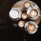 Arkin Coffee, Montgomery