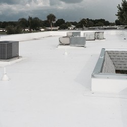  Profile Photos of Constructomax Roofing Westchase 11912A Cypress Crest Circle - Photo 4 of 4