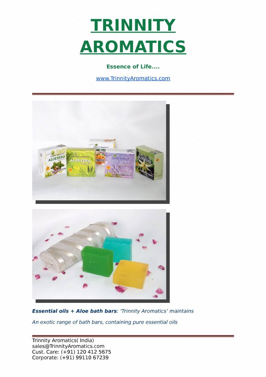 Pricelists of Trinnity Aromatics B 48, Ramprastha - Photo 4 of 8