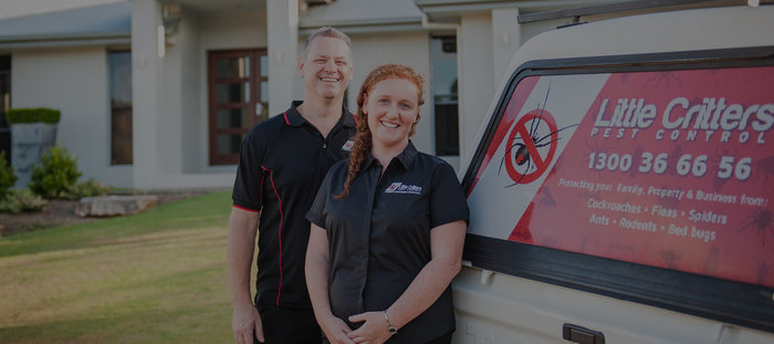  New Album of Little Critters Pest Control & Termite Management Specialists 10 Malabar Crt - Photo 5 of 7