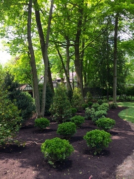 landscape design, hardscape design, native plants, patios, walkways, landscape design Sewickley Profile Photos of Eco-Land Designs PO Box 314 - Photo 5 of 13 landscape design, hardscape design, native plants, patios, walkways, landscape design Sewickley Profile Photos of Eco-Land Designs PO Box 314 - Photo 5 of 13