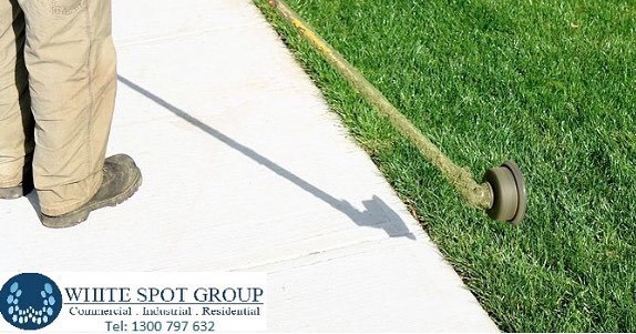  Profile Photos of White Spot Group PTY LTD Suite 8/238 Prospect Hwy - Photo 2 of 2