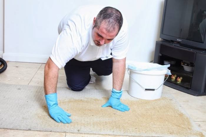  Profile Photos of Joel's Move Out Cleaning Newham - Photo 4 of 5