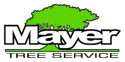  Profile Photos of McGuinness Tree Service 4 Capitol St - Photo 1 of 1