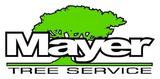 McGuinness Tree Service, Nashua