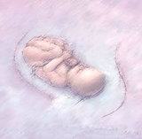  Essential Wellbeing Natural Health Clinic 131A Glengyle Tce, 3 Properties from Marion Rd. 