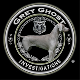 Grey Ghost Investigations, Hollywood