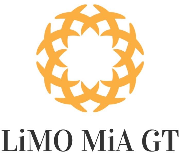  Profile Photos of Limo Mia Ground Transportation 2420 Flamingo Drive Suite 1 - Photo 1 of 1