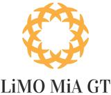 Limo Mia Ground Transportation, Miami Beach
