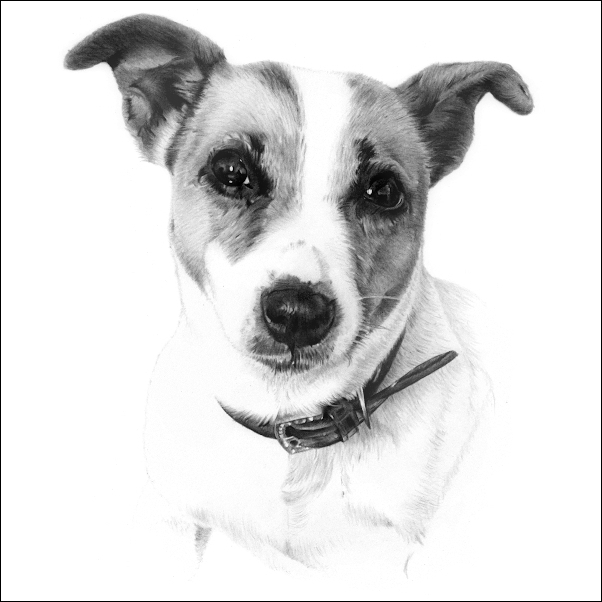  Profile Photos of MCB Pencil Portraits Erdington - Photo 3 of 6