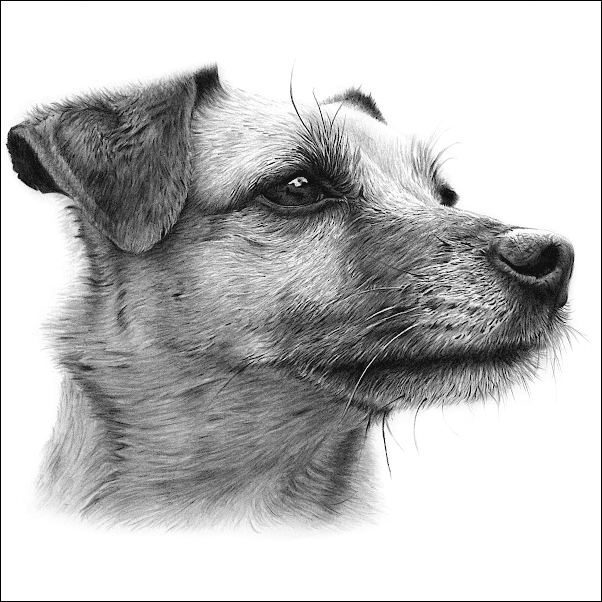  Profile Photos of MCB Pencil Portraits Erdington - Photo 2 of 6