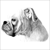  MCB Pencil Portraits Erdington 