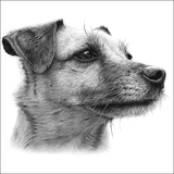 MCB Pencil Portraits, Birmingham