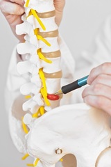 herniated disc-back pain Better Health Chiropractic & Physical Rehab 8840 Old Seward Hwy Suite E 