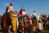 Modiglobe- Travel Genius, Jaipur