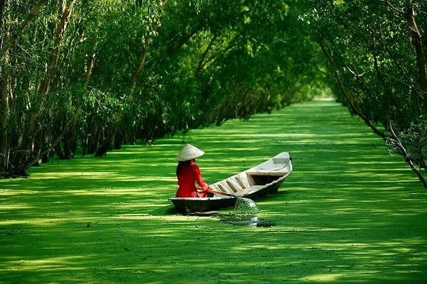  Profile Photos of Red Crane Travel No 31/21, Lane 401, Xuan Dinh Road, Tu Liem district - Photo 2 of 5