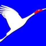  Red Crane Travel No 31/21, Lane 401, Xuan Dinh Road, Tu Liem district 