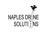 Naples Drone Solutions, Naples