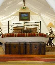 Bell Glamping Tent interior Profile Photos of The Hollies London Road - Photo 4 of 6
