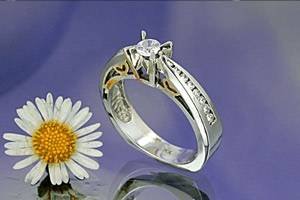  Profile Photos of Ashoori & Co. Jewelers 4212 S Mooney Blvd - Photo 3 of 5