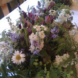 Flowers for All Occasions in Tetbury,UK : Twig of Tetbury, Tetbury
